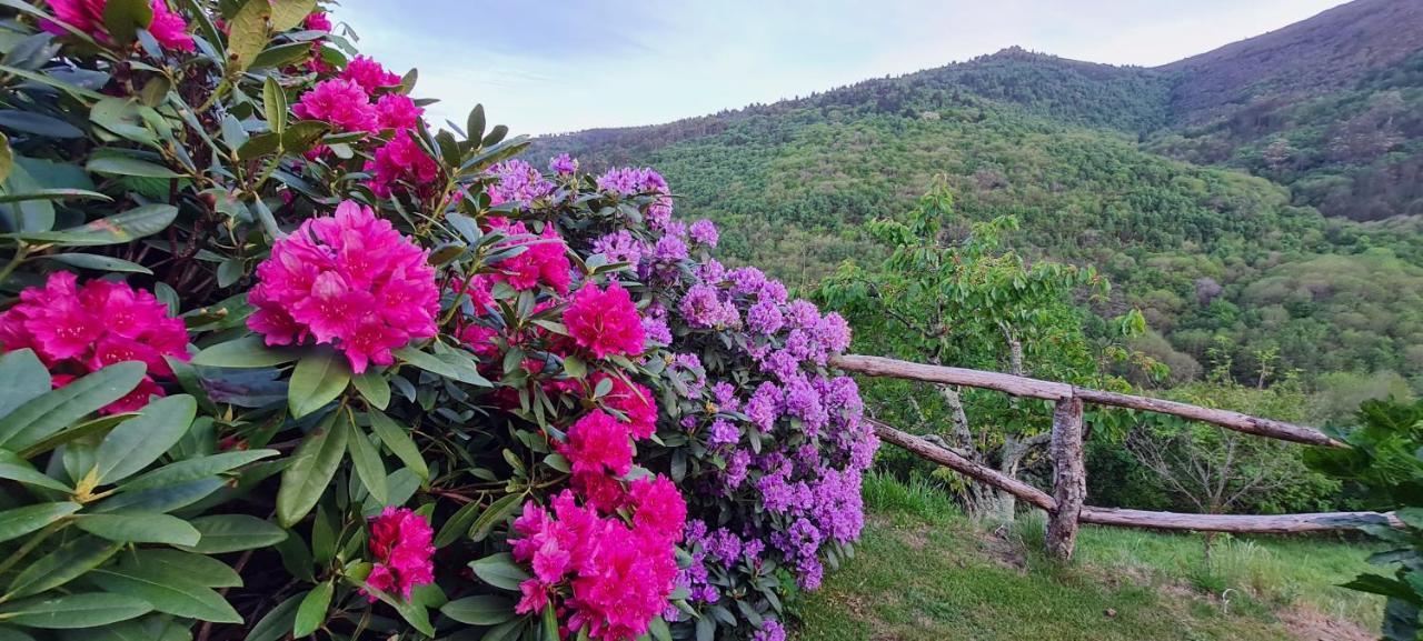 Rurales El Bosque De Vinas Appartamento