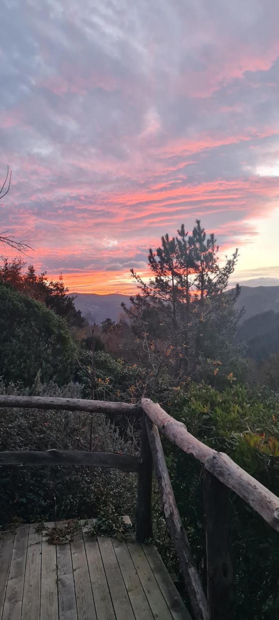 Rurales El Bosque De Vinas Appartamento
