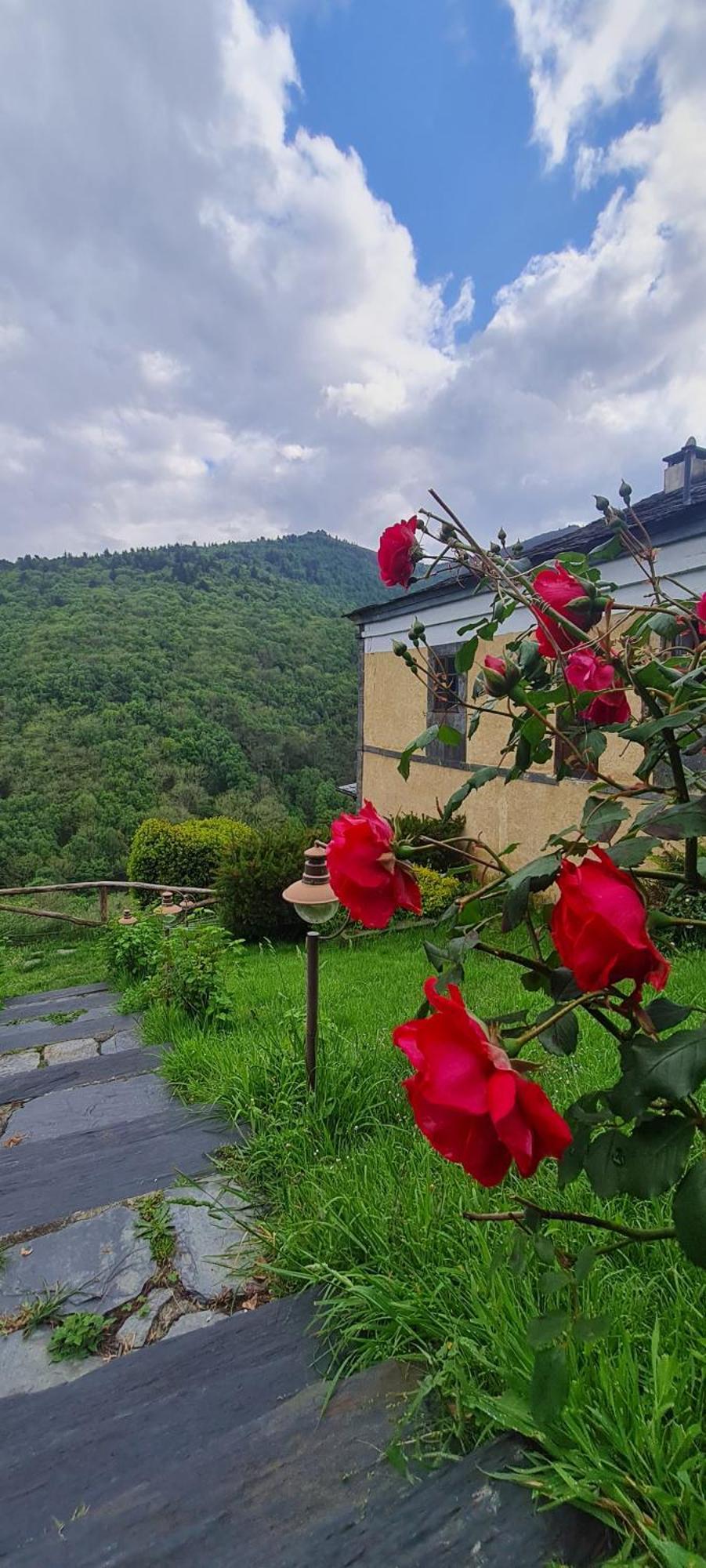 Appartamento Rurales El Bosque De Vinas Boal