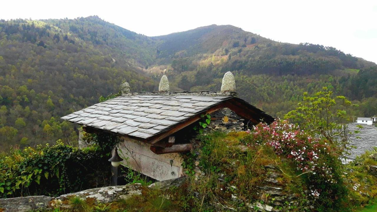 Rurales El Bosque De Vinas *