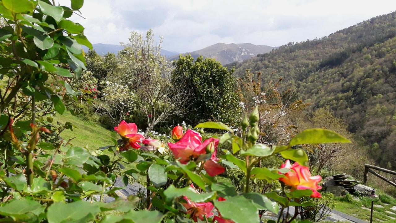 Appartamento Rurales El Bosque De Vinas